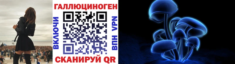 Псилоцибиновые грибы Magic Shrooms  Сунжа 